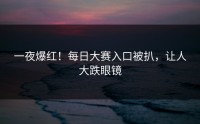 一夜爆红！每日大赛入口被扒，让人大跌眼镜