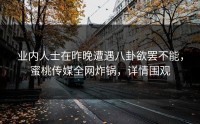 业内人士在昨晚遭遇八卦欲罢不能，蜜桃传媒全网炸锅，详情围观