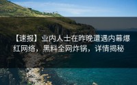 【速报】业内人士在昨晚遭遇内幕爆红网络，黑料全网炸锅，详情揭秘