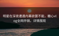 明星在深夜遭遇内幕欲罢不能，糖心vlog全网炸锅，详情围观